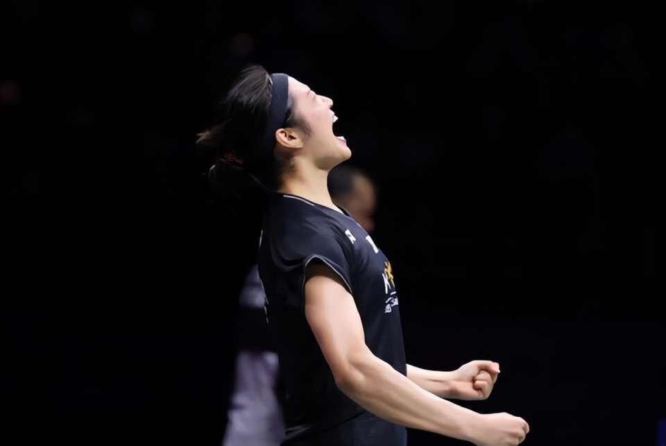 日本队逆转法国队，戴资颖状态火热的简单介绍